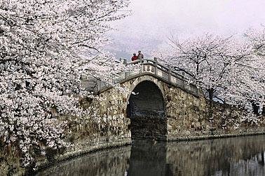 Wuxi Classic Day Tour from Shanghai