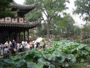 Lingering Garden Lingering Garden