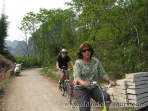 Biking along rice paddies