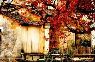 Autumn Visit to Huangshan, Hongcun and Tachuan Village